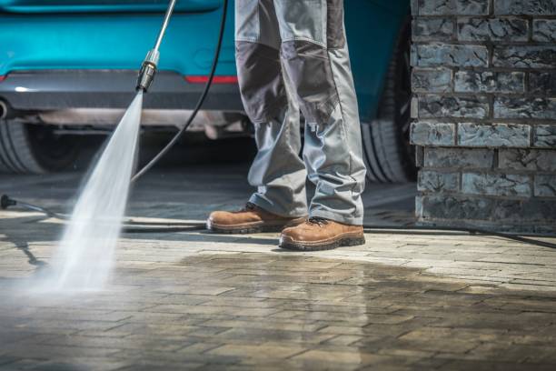 Best Driveway Pressure Washing  in Lake Sarasota, FL