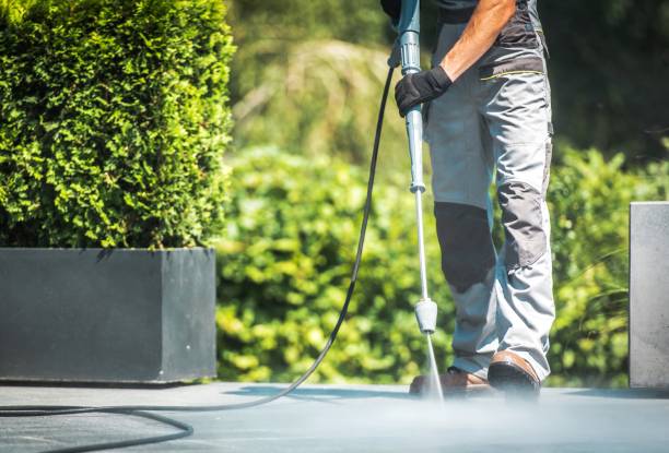 Best Fence Cleaning  in Lake Sarasota, FL