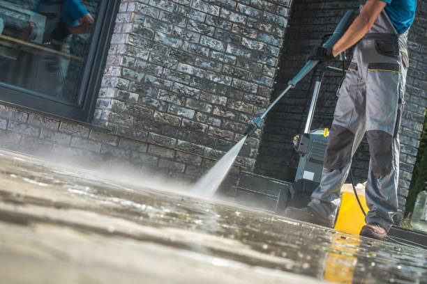 Boat and Dock Cleaning in Lake Sarasota, FL