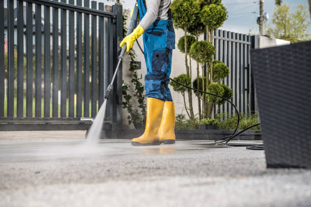 Best Building Exterior Washing  in Lake Sarasota, FL